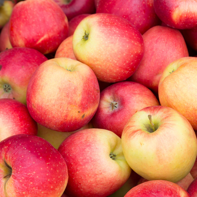 How do you like them apples? Tax incentives for investing in upskilling staff and new technology